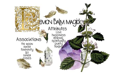Embracing Witchy Herb Symbolism: Rose Symbolism in Witchcraft